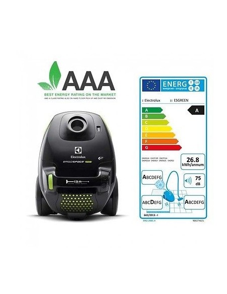 Electrolux ESGREEN ErgoSpace A cilindro Secco 700 W Sacchetto per la polvere