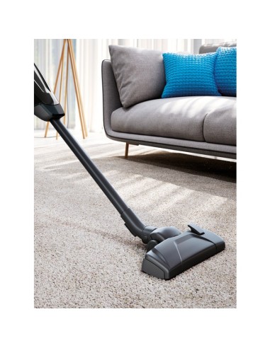 Electrolux 900 258 333 scopa elettrica Aspirapolvere elettrica Batteria Secco e bagnato Senza sacchetto Nero