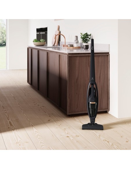 Electrolux WQ61-42GG Aspirapolvere a bastone 2 in 1 Batteria Secco Senza sacchetto 0,3 L Grigio