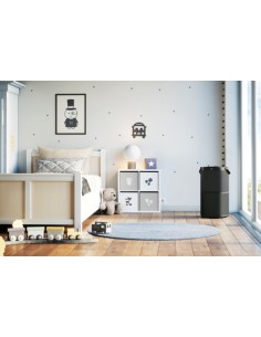 Electrolux PA91-404DG 37 m² 46 dB Nero, Grigio 2