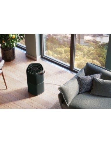 Electrolux PA91-404DG 37 m² 46 dB Nero, Grigio
