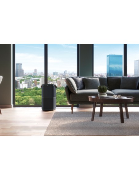 Electrolux PA91-404DG 37 m² 46 dB Nero, Grigio