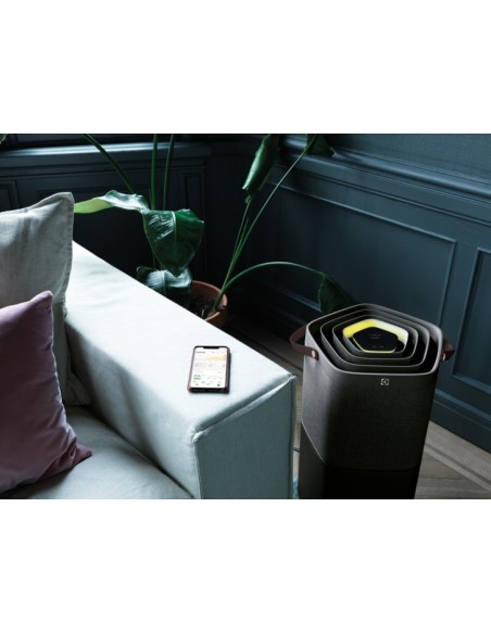 Electrolux PA91-404DG 37 m² 46 dB Nero, Grigio