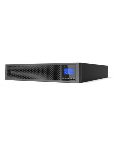 LevelOne UPS-2101 gruppo di continuità (UPS) Doppia conversione (online) 1 kVA 1000 W 8 presa(e) AC