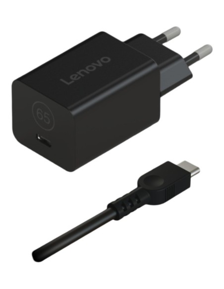Lenovo 40AWGN65EU adattatore e invertitore Interno Nero