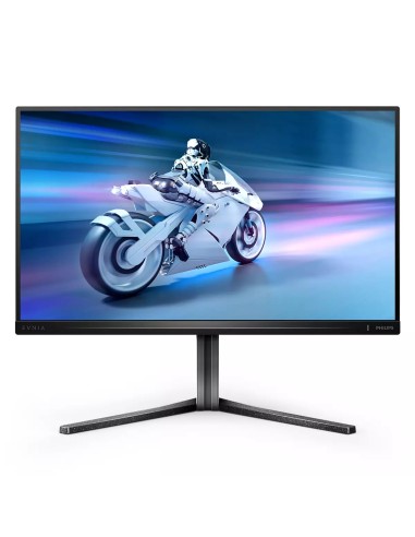 Philips Evnia 5000 25M2N5200U 00 Monitor PC 62,2 cm (24.5") 1920 x 1080 Pixel Full HD LCD Grigio