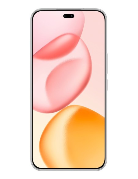 Honor 400 Pro 17 cm (6.7") MagicOS 9.0 5G 12 GB 512 GB 5300 mAh Grigio