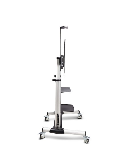 StarTech.com Carrello supporto TV mobile su ruote per schermi piatti da 60-100" e fino a 100 kg, regolazione dell'altezza