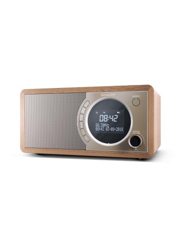 Sharp DR-450 Personale Digitale Marrone, Acciaio inox