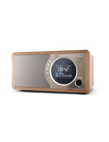 Sharp DR-450 Personale Digitale Marrone, Acciaio inox