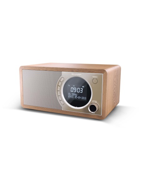 Sharp DR-450 Personale Digitale Marrone, Acciaio inox