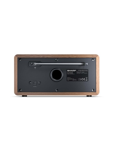 Sharp DR-450 Personale Digitale Marrone, Acciaio inox