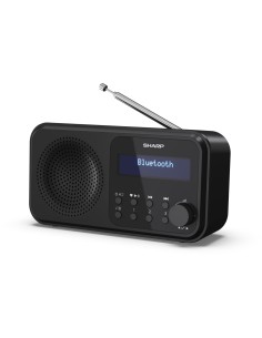 Sharp DR-P420 Portatile Digitale Nero 2