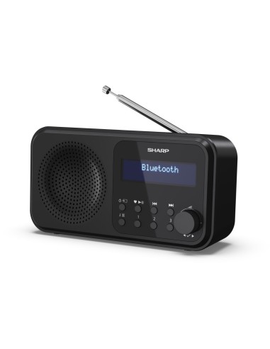 Sharp DR-P420 Portatile Digitale Nero