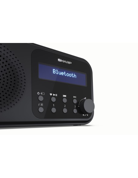 Sharp DR-P420 Portatile Digitale Nero