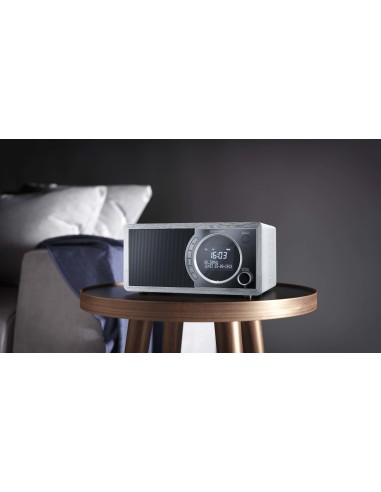 Sharp DR-450 Personale Digitale Grigio, Acciaio inox