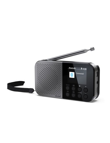 Sharp DR-P520 Personale Digitale Grigio