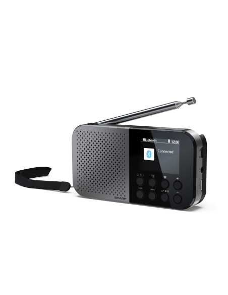 Sharp DR-P520 Personale Digitale Grigio