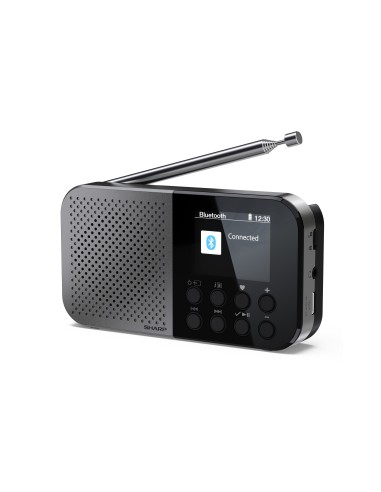 Sharp DR-P520 Personale Digitale Grigio