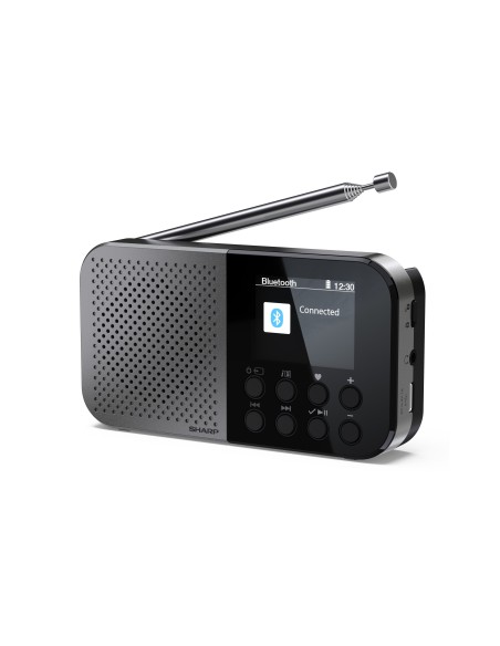 Sharp DR-P520 Personale Digitale Grigio