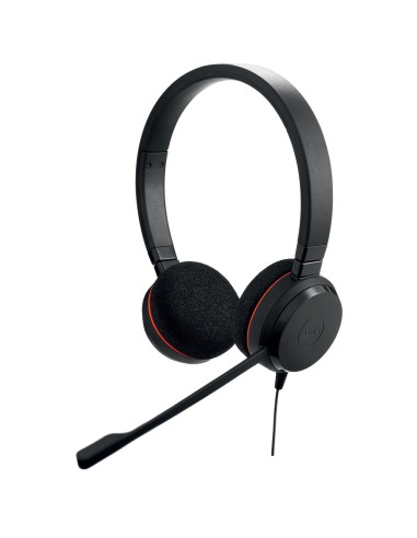 Jabra Evolve 20 Auricolare Cablato A Padiglione Ufficio USB Type-C   USB Type-A Nero