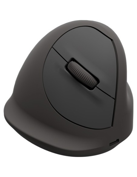 Fellowes 100143581 mouse Universale Mano destra Bluetooth + USB Type-C Ottico 2400 DPI