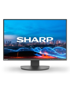 Sharp MultiSync EA241W Monitor PC 61 cm (24") 1920 x 1200 Pixel Full HD LCD Nero