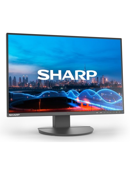 Sharp MultiSync EA241W Monitor PC 61 cm (24") 1920 x 1200 Pixel Full HD LCD Nero