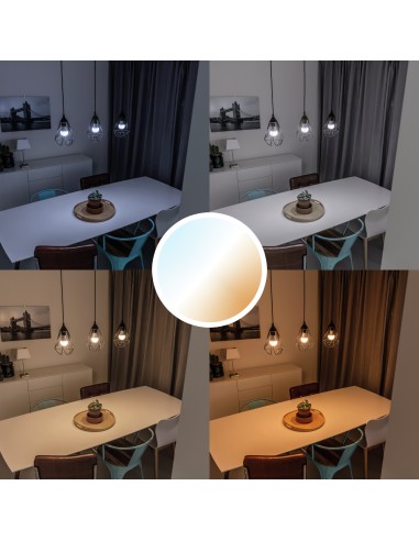 Trust 71299 soluzione di illuminazione intelligente Lampadina intelligente Wi-Fi