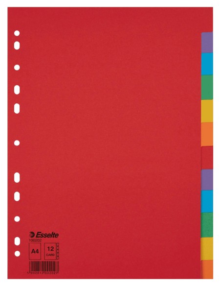 Esselte 100202 divisore Cartoncino Multicolore 12 pz
