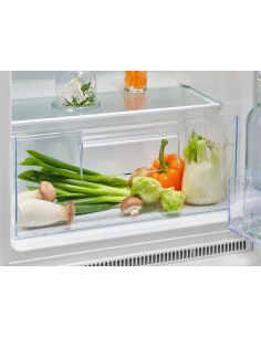 Electrolux FRIGORIFERO DOPPIA PORTA STATIC LOW FROST CLASSE E KTS5LE14S 2