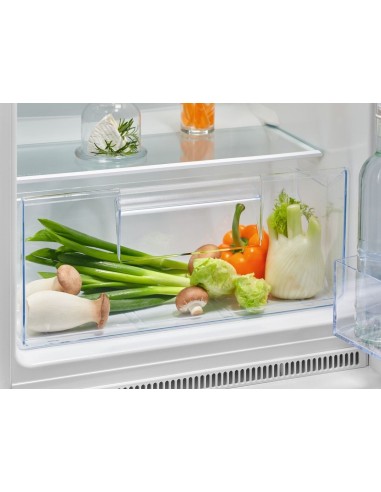 Electrolux FRIGORIFERO DOPPIA PORTA STATIC LOW FROST CLASSE E KTS5LE14S