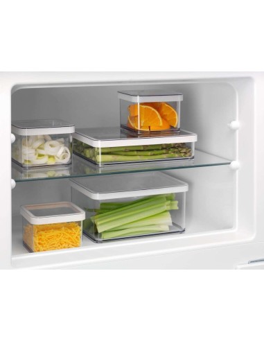Electrolux FRIGORIFERO DOPPIA PORTA STATIC LOW FROST CLASSE E KTS5LE14S
