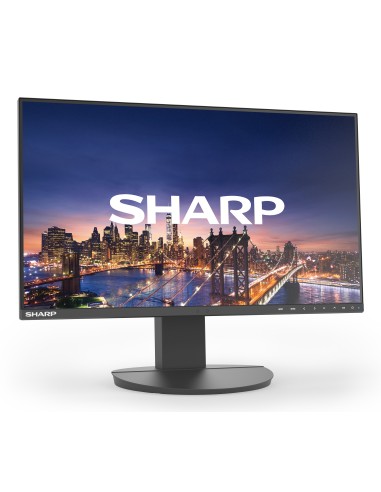 Sharp MultiSync EA242F Monitor PC 61 cm (24") 1920 x 1080 Pixel Full HD LCD Nero