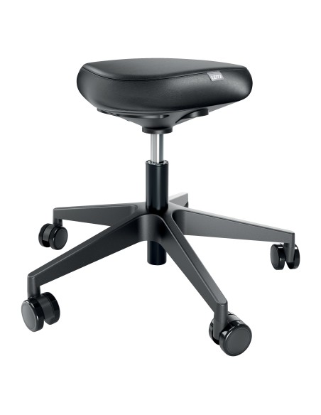 Leitz 65780095 sedia da ufficio e computer Seduta imbottita