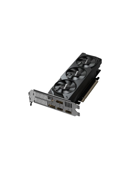 GIGABYTE GeForce RTX 5050 OC Low Profile 8G Scheda Grafica - 8GB GDDR6, 128bit, PCI-E 5.0, 2587MHz Frequenza core, 2 x DP, 2 x
