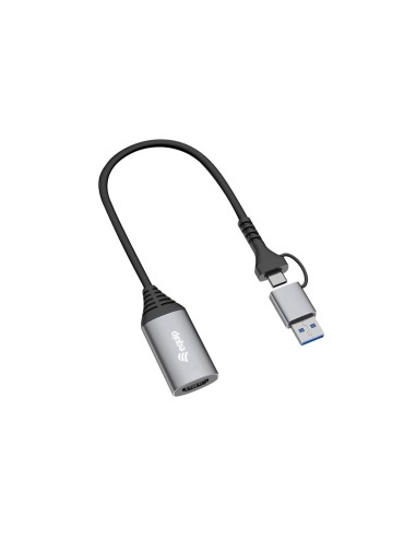 Equip 133498 adattatore grafico USB 1920 x 1080 Pixel Grigio