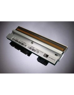 Zebra Kit Printhead 300 dpi ZM600 testina stampante