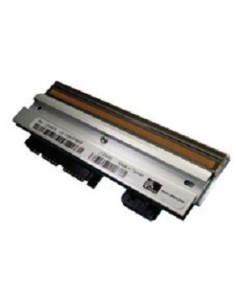 Zebra G79056-1M testina stampante Trasferimento termico