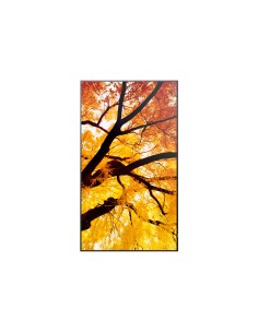 Sharp MultiSync M502 Pannello piatto per segnaletica digitale 127 cm (50") LCD 550 cd m² 4K Ultra HD Nero 24 7 2