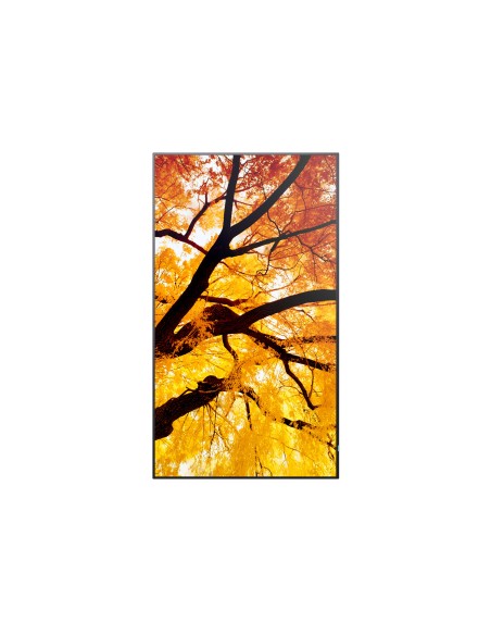 Sharp MultiSync M502 Pannello piatto per segnaletica digitale 127 cm (50") LCD 550 cd m² 4K Ultra HD Nero 24 7
