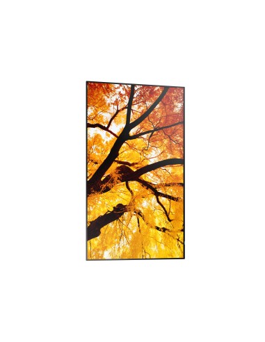 Sharp MultiSync M502 Pannello piatto per segnaletica digitale 127 cm (50") LCD 550 cd m² 4K Ultra HD Nero 24 7