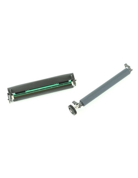 Zebra P1080383-230 kit per stampante Kit di aggiornamento