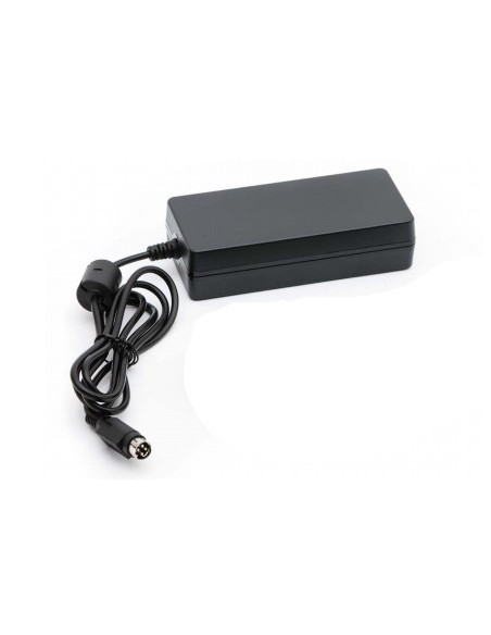 Zebra P1058390-2 adattatore e invertitore Interno Nero