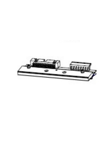 Zebra P1083347-005 testina stampante Trasferimento termico
