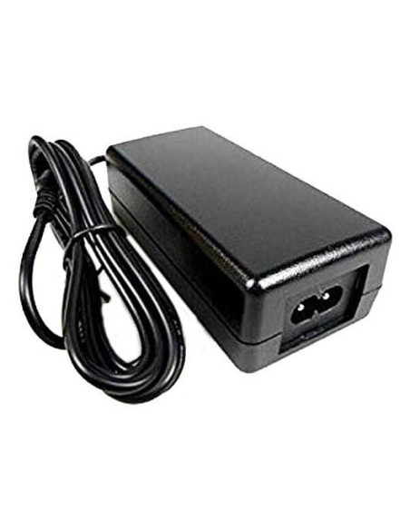 Zebra P1080383-704 adattatore e invertitore Interno 60 W Nero