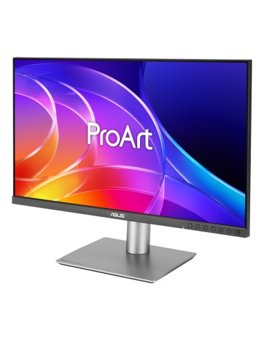 ASUS ProArt PA249CGV Monitor PC 60,5 cm (23.8") 1920 x 1080 Pixel Full HD LCD Nero, Argento