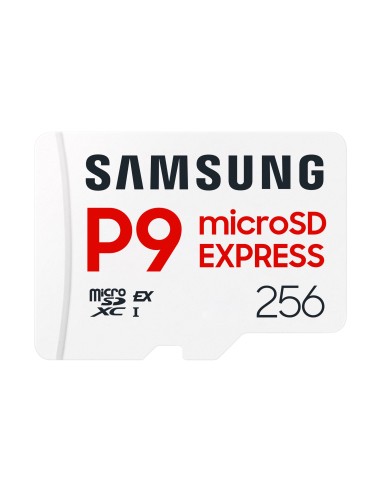Samsung P9 Express microSD Memory Card 256 GB