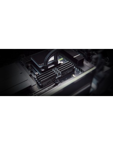 Kingston Technology FURY 16GB 7200MT s DDR5 ECC Reg CL38 DIMM Renegade Pro Black