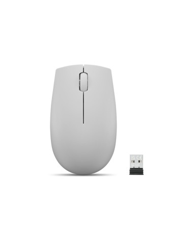 Lenovo Mouse wireless 300 compatto (Grigio Artico)